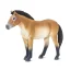 Safari Ltd. Figurka - Kůň převalského