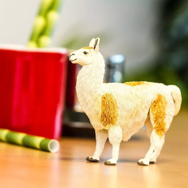 Lama