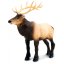 Safari Ltd. Figurka - Wapiti