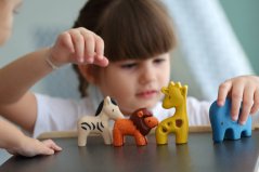 PlanToys Set - Divoká zvířata