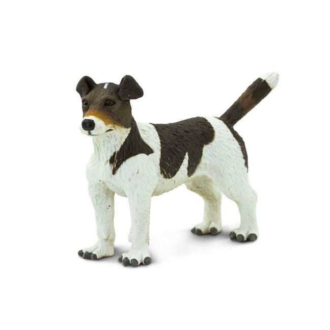 Jack Russel teriér