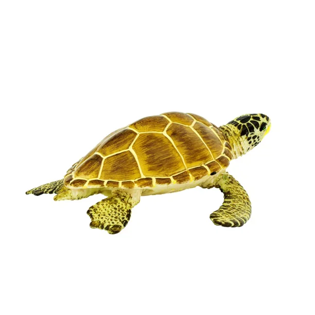 Kareta obecná