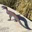 Safari Ltd. Figurka - Majungasaurus