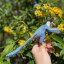 Safari Ltd. Figurka - Utahraptor