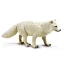 Safari Ltd. Figurka - Liška polární