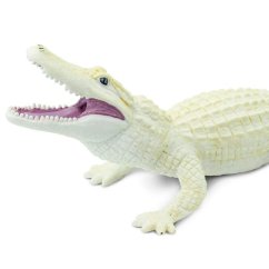 Krokodýl albín