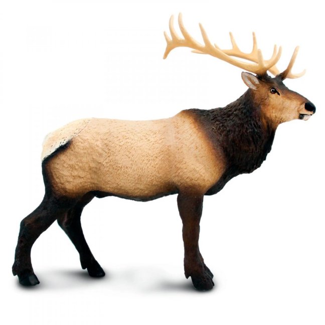 Safari Ltd. Figurka - Wapiti
