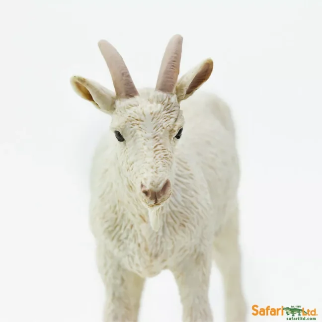 Koza domácí "Nanny"