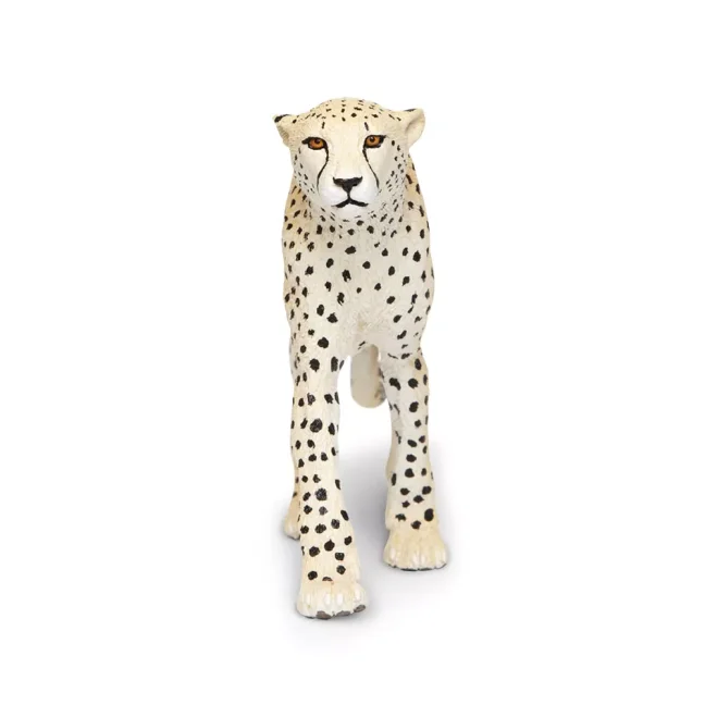 Gepard