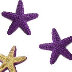 Mořské hvězdice - Good Luck Minis