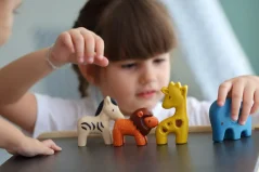 PlanToys Set - Divoká zvířata