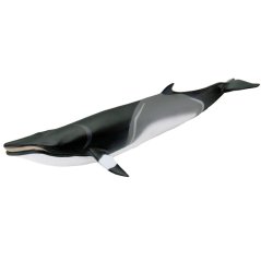 Safari Ltd. Figurka - Plejtvák Minke