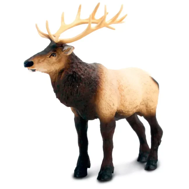 Safari Ltd. Figurka - Wapiti