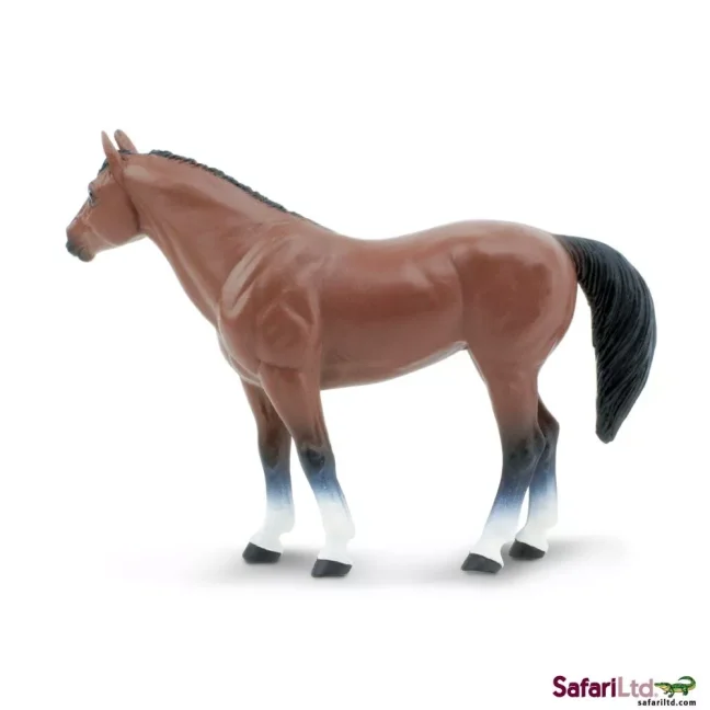 Americký kovbojský kůň