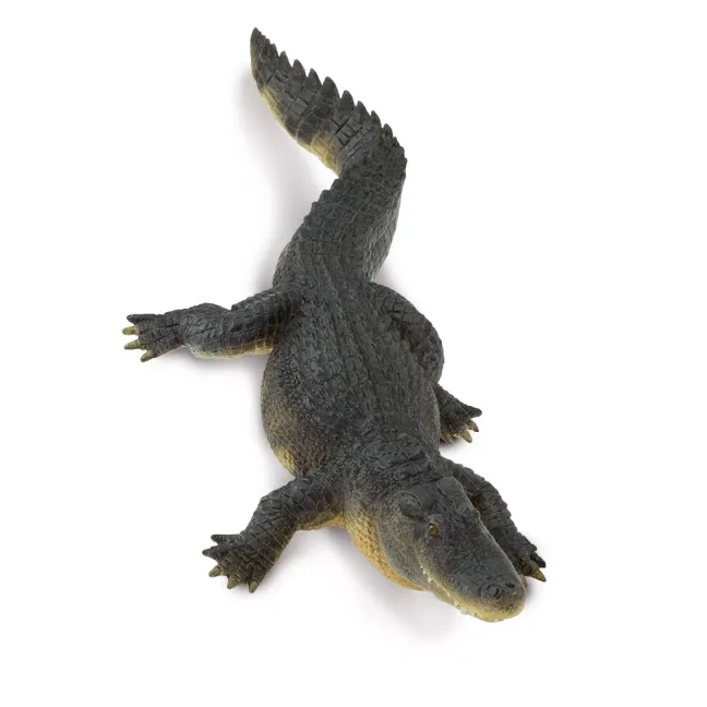 Aligátor