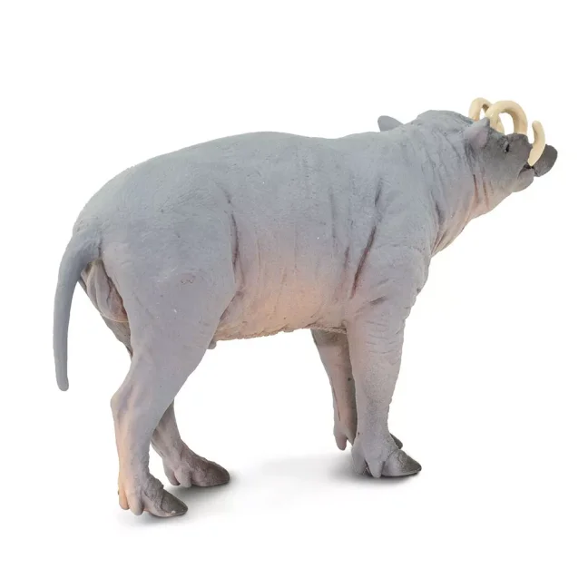 Babirusa