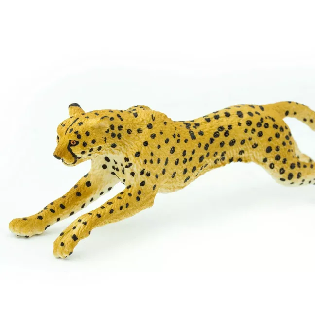 Gepard
