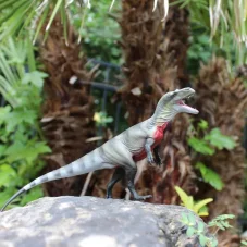 Safari Ltd. Figurka - Megalosaurus