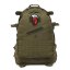 Batoh NILS Camp NC3904 Vanguard zelený 45L