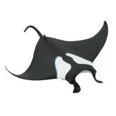 Manta obrovská
