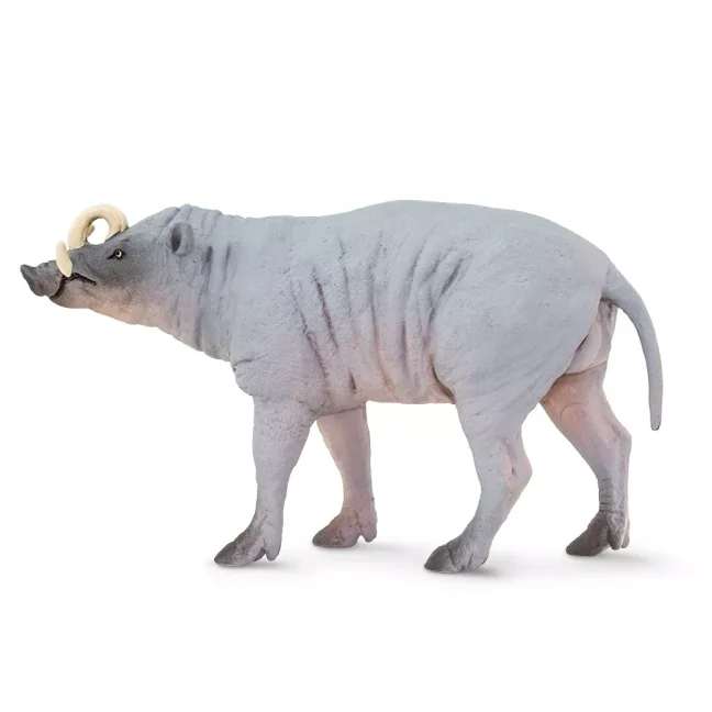 Babirusa