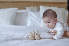 PlanToys Autíčko pro nejmenší - přírodní