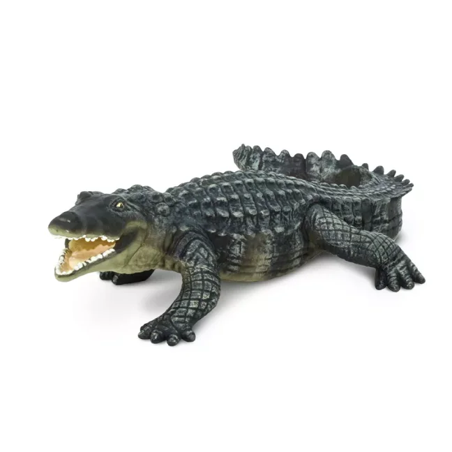 Krokodýl