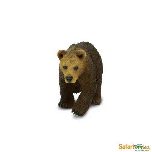 Medvěd Grizzly - mládě