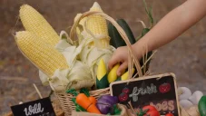 PlanToys Sada čerstvé zeleniny, sada D