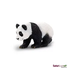 Mládě pandy