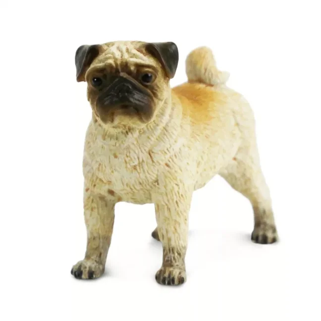 Safari Ltd. Figurka - Mops