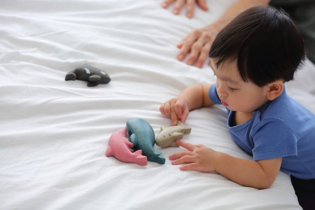 PlanToys Kosatka