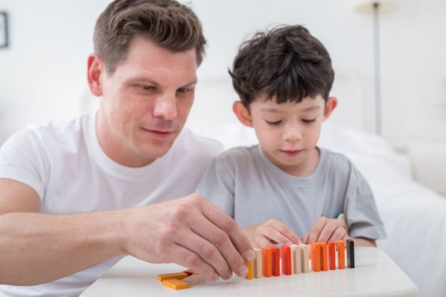 PlanToys Mini-Domino