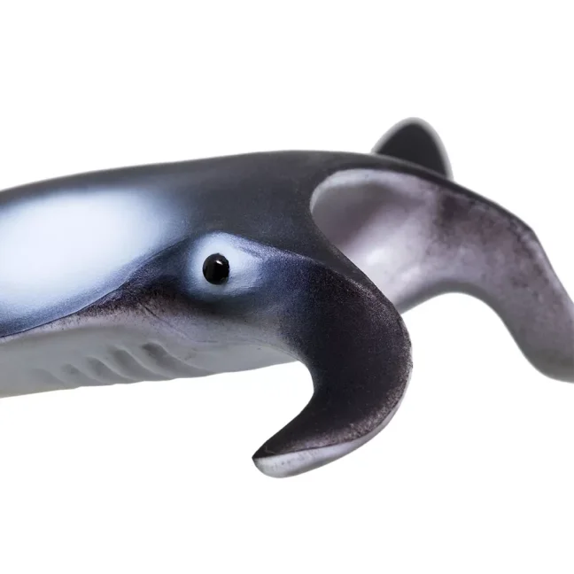 Manta obrovská