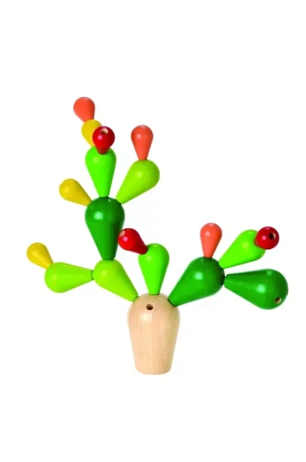 Balancující kaktus