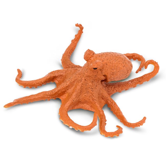 Chobotnice