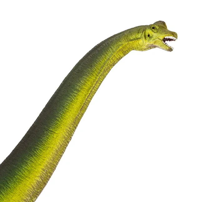 Brachiosaurus