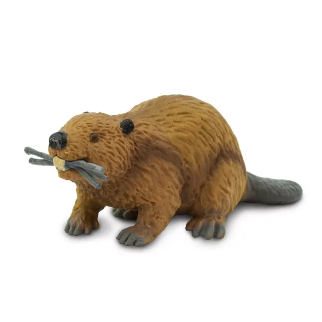 Safari Ltd. Figurka - Bobr