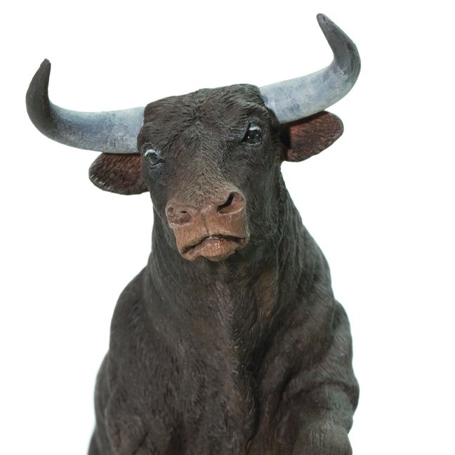 Černý býk