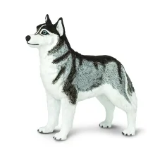 Safari Ltd. Figurka - Sibiřský husky