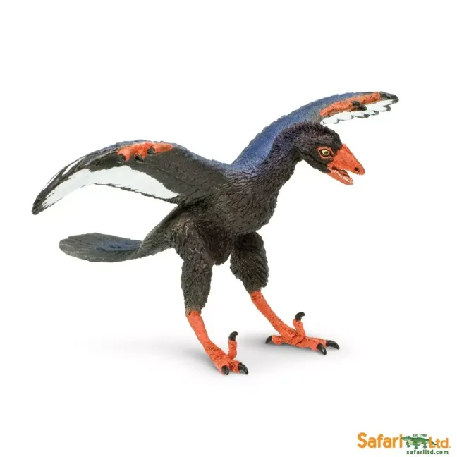 Archaeopteryx