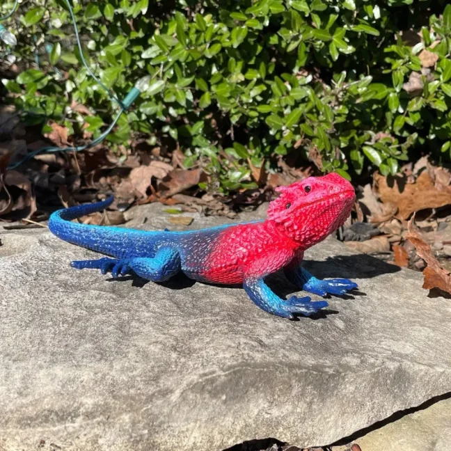 Safari Ltd. Figurka - Agama plochohlavá - Mwanza