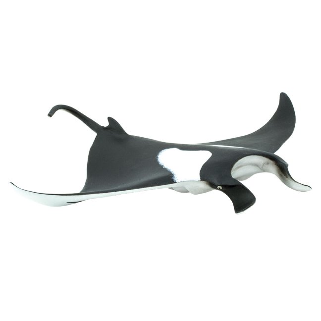 Manta obrovská